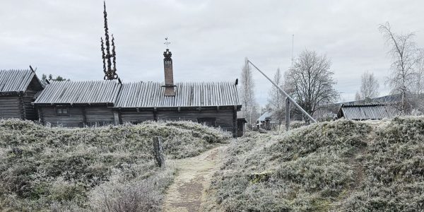 frostig skans